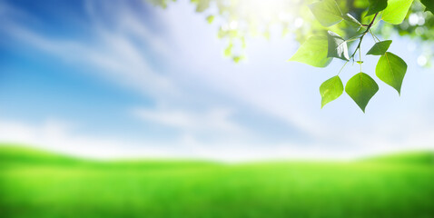 Aufkleber - Green grass field, leaf foliage and blue sky