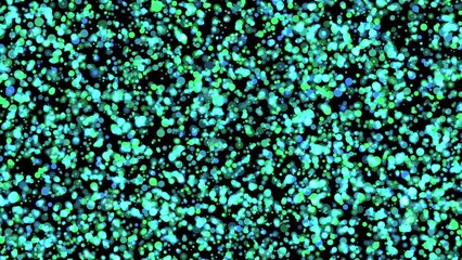 Wall Mural - blurred turquoise green particles waver and twinkle on the black background—abstract loopable 4k bac