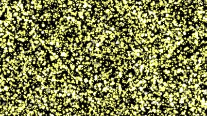 Wall Mural - Gold particles waver and twinkle on the black background—abstract loopable 4k background at 60fps.