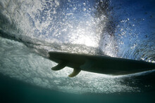Underwater View Of Surfboard Gliding Over Water