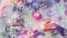 Aquarel Like Abstract Colored Background Texture  Of Frozen Flowers In Milk, Ice And Water 