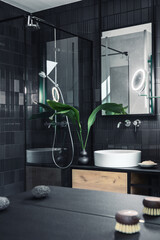 Poster - Stylish bathroom interior with shower, sink and personal bathroom accessories. Modern and creative interior concept. Black walls. Template.