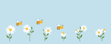 Set Of Daisy Flower With Green Leaves And Bee Cartoons On Blue Background Vector Illustration.