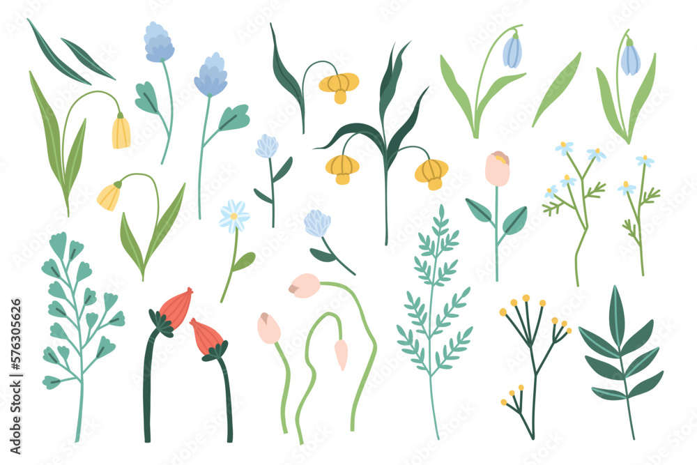 Vector set of spring flowers and leaves isolated on white background ...