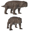 Lystrosaurus in two different positions