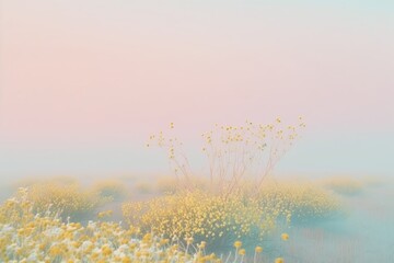 Wall Mural - Landscape of a spring morning in a meadow. Soft pastel background. Field, spring, yellow flowers. Fog and morning dew. Generative AI.
