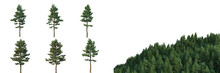 Collection Of Conifers, Christmas Trees And Forest Isolated On Alpha Channel, Transparent Background	
