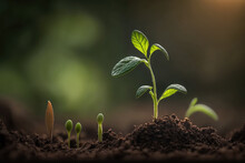AI Picture Of Delicate Young Plant Growing From Soil
