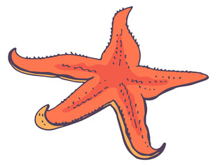 Sticker - Starfish color sketch. Red underwater animal doodle