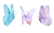 Leinwandbild Motiv Set of the blue butterflies in pastel colors isolated on white background. Watercolor. Illustration. Blue, yellow, pink and ivory butterfly spring illustration
