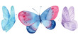 Blue butterfly in pastel colors isolated on white background. Watercolor. Illustration. 