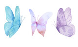 Fototapeta Dinusie - Set of the blue butterflies in pastel colors isolated on white background. Watercolor. Illustration. Blue, yellow, pink and ivory butterfly spring illustration