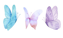 Set Of The Blue Butterflies In Pastel Colors Isolated On White Background. Watercolor. Illustration. Blue, Yellow, Pink And Ivory Butterfly Spring Illustration