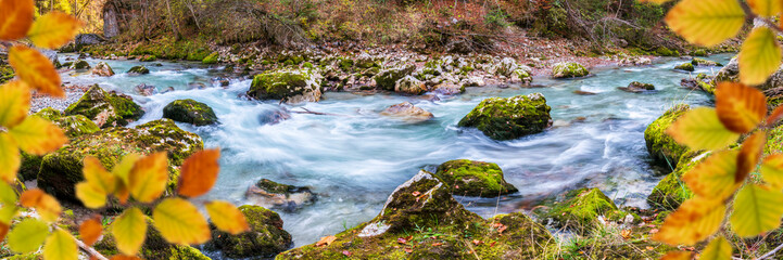 Poster - clear alpine river in canyon while autumn