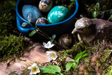 Wall Mural - Blossom of windflower (anemone) in background of colored Easter eggs in blue dish, branches with buds, moss and wooden bird on wooden background, Easter eggs, Easter table decoration