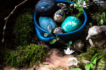 Wall Mural - Colored Easter eggs in blue dish with background of branches with buds, moss and anemone (windflower) on wooden background, still life with Easter eggs, plants, Easter table decoration