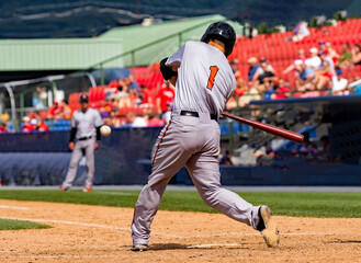 Wall Mural - baseball player