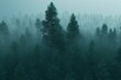 Misty fir forest,generative ai