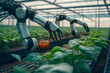 Modern digital technologies robots with intelligence take care of crops tomato in greenhouses. Generative AI technology.