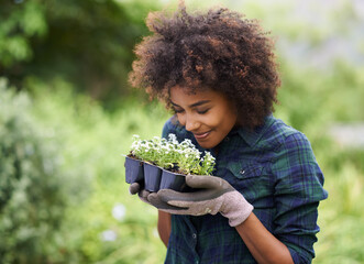 Wall Mural - Time to get you in the ground. Shot of a happy young woman holding a tray of seedlings for the garden.