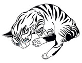 Fototapeta  - Duży, czarno-biały kot z niebieskimi oczami. Leżący, pręgowany kotek. Portret kota, pasiastego jak tygrys.  Rysunek, ilustracja wektorowa.