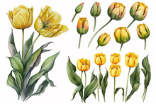 Yellow Tulips Vintage Free Stock Photo - Public Domain Pictures