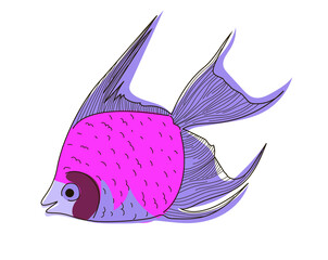 Wall Mural - Drawing of bright fish in doodle style. Vector illustration of a fish in pink and lilac colors isolated on a white background.