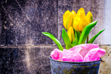 Wall Mural - beautiful flower - close up - photo