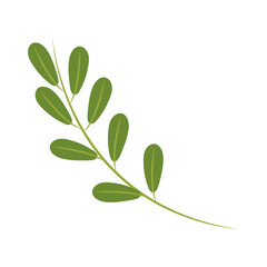 Sticker - branch leaves icon