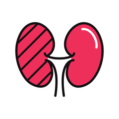 Canvas Print - human kidneys icon