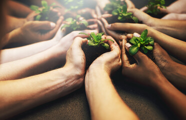 Sticker - Go green and keep the earth clean. Cropped shot of a group of people holding plants growing out of soil.