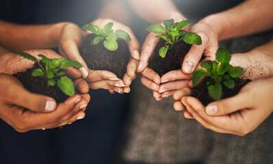 Poster - Going green is just good for everybody. Cropped shot of a group of people holding plants growing out of soil.