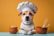 Cute dog as a chef on colored background, concept of Adorable and Kitchen, created with Generative AI technology