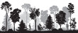 Forest landscape silhouette. Black and white banner with trees, bushes. Panorama with alley, park, woodland or nature reserve with plants. Cartoon flat vector illustration isolated on white background