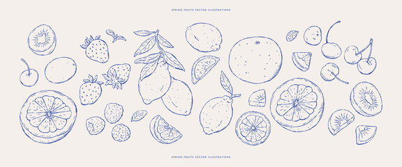 set of fresh fruits sketches.vector illustrations.hand drawn sketches.