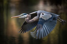Shot With A Selective Focus On A Flying Blue Heron Generative AI