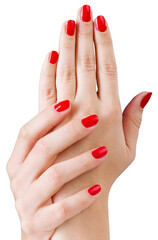 Wall Mural - Young beautiful woman hands with red manicure