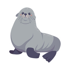 Poster - monk seal arctic animal