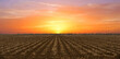 © Allison - plowed field at sunset