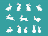 Fototapeta Pokój dzieciecy - Cute white rabbits in various poses. Rabbit animal icon isolated on background.