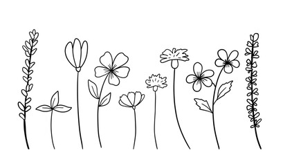 Hand drawn wildflowers set. Vector outline sketch. Line art doodle isolated on white background