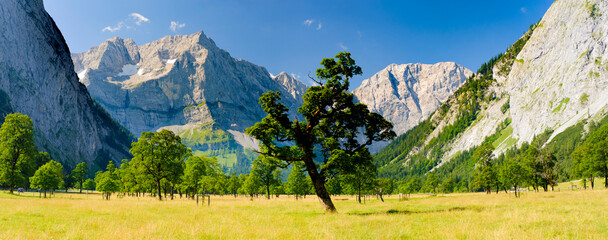 Poster - panoramic landscape with rock and mountain range