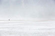 © Cavan Images - Lone hiker walking through dust storm, Kluane National Park, Yukon, Canada
