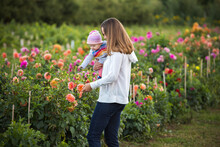 A Young Mother And Her Infant Child Pick Flowers At A Fruit Orchard.