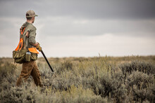 Man Upland Bird Hunting With His Dogs In The Plains Of Northeastern Montana.