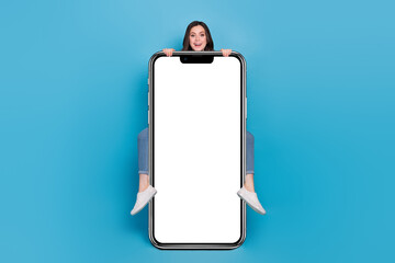 Sticker - Full size photo of lady climb paper cellphone poster demonstrate web shopping sale isolated blue color background