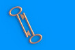 Old keys. Symbol of success business. Buying a house. Rental property. Copy space. Top view. 3d render