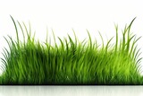 Fototapeta Kuchnia - green grass isolated on white background , ai generated