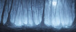 misty forest. Dark tree silhouette. Tree tricks in the blue mist. Fog in the night forest illustration banner. Spooky forest with full moon and floor. Without leaves and branches of autumn.