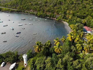 Canvas Print - Fishing harbor in Guadeloupe